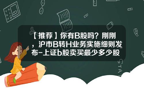 【推荐】你有B股吗？刚刚，沪市B转H业务实施细则发布-上证b股卖买最少多少股
