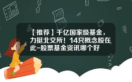 【推荐】千亿国家级基金，力挺北交所！14只概念股在此-股票基金资讯哪个好