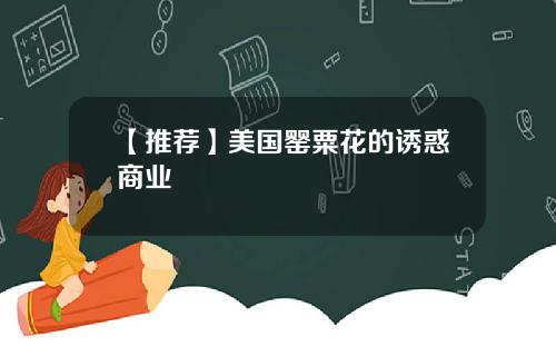 【推荐】美国罂粟花的诱惑商业