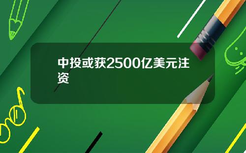 中投或获2500亿美元注资