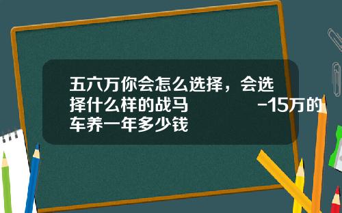 五六万你会怎么选择，会选择什么样的战马🐴-15万的车养一年多少钱