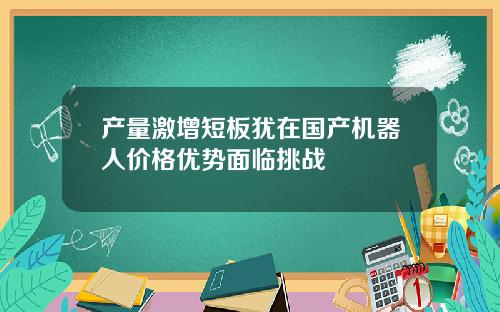 产量激增短板犹在国产机器人价格优势面临挑战