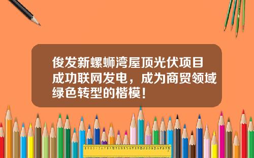 俊发新螺蛳湾屋顶光伏项目成功联网发电，成为商贸领域绿色转型的楷模！