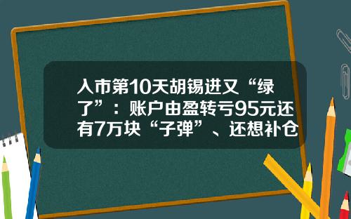 入市第10天胡锡进又“绿了”：账户由盈转亏95元还有7万块“子弹”、还想补仓但感到无从下手-10股票今天会亏多少钱