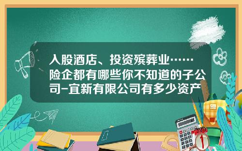 入股酒店、投资殡葬业……险企都有哪些你不知道的子公司-宜新有限公司有多少资产
