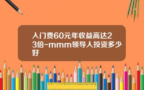 入门费60元年收益高达23倍-mmm领导人投资多少好
