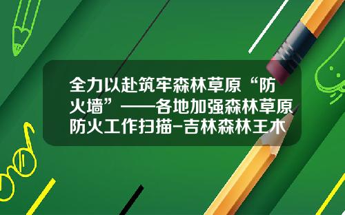 全力以赴筑牢森林草原“防火墙”——各地加强森林草原防火工作扫描-吉林森林王木业有限公司