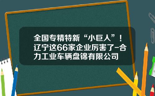 全国专精特新“小巨人”！辽宁这66家企业厉害了-合力工业车辆盘锦有限公司