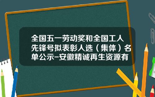 全国五一劳动奖和全国工人先锋号拟表彰人选（集体）名单公示-安徽精诚再生资源有限公司