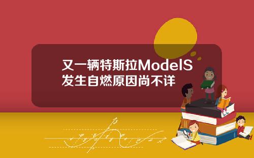 又一辆特斯拉ModelS发生自燃原因尚不详