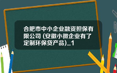 合肥市中小企业融资担保有限公司 (安徽小微企业有了定制环保贷产品)_1