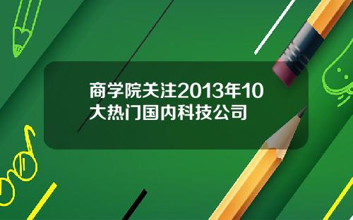 商学院关注2013年10大热门国内科技公司
