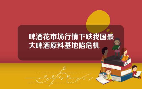 啤酒花市场行情下跌我国最大啤酒原料基地陷危机