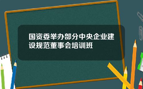 国资委举办部分中央企业建设规范董事会培训班
