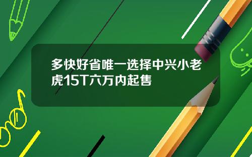 多快好省唯一选择中兴小老虎15T六万内起售