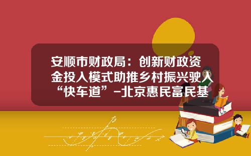 安顺市财政局：创新财政资金投入模式助推乡村振兴驶入“快车道”-北京惠民富民基金