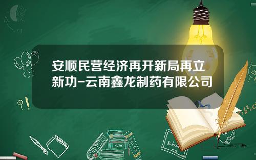安顺民营经济再开新局再立新功-云南鑫龙制药有限公司