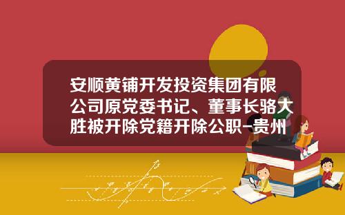 安顺黄铺开发投资集团有限公司原党委书记、董事长骆大胜被开除党籍开除公职-贵州投资公司判刑