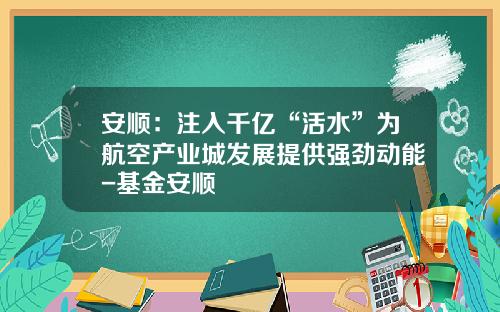安顺：注入千亿“活水”为航空产业城发展提供强劲动能-基金安顺