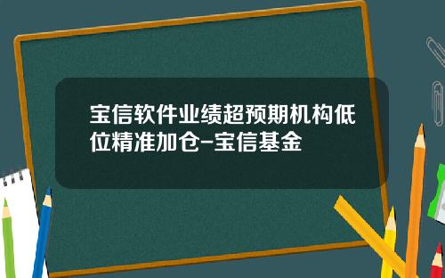 宝信软件业绩超预期机构低位精准加仓-宝信基金