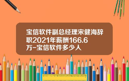 宝信软件副总经理宋健海辞职2021年薪酬166.6万-宝信软件多少人