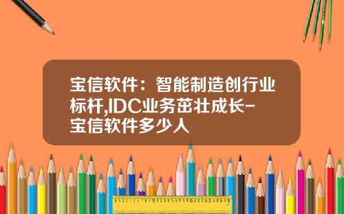 宝信软件：智能制造创行业标杆,IDC业务茁壮成长-宝信软件多少人