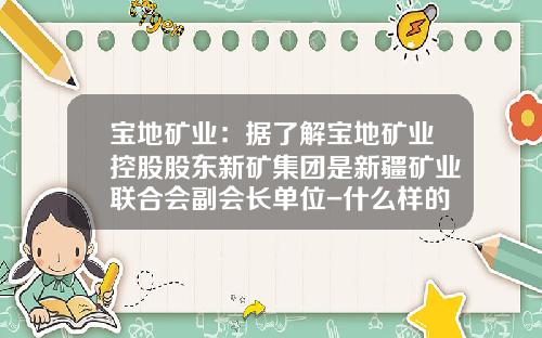 宝地矿业：据了解宝地矿业控股股东新矿集团是新疆矿业联合会副会长单位-什么样的矿业公司适合用第十八章在香港上市