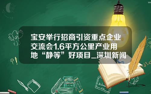 宝安举行招商引资重点企业交流会1.6平方公里产业用地“静等”好项目_深圳新闻网-深圳招平瑞盛投资控股有限公司