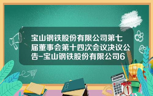 宝山钢铁股份有限公司第七届董事会第十四次会议决议公告-宝山钢铁股份有限公司6月份
