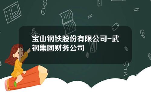 宝山钢铁股份有限公司-武钢集团财务公司