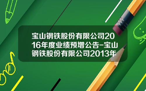 宝山钢铁股份有限公司2016年度业绩预增公告-宝山钢铁股份有限公司2013年报