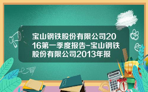 宝山钢铁股份有限公司2016第一季度报告-宝山钢铁股份有限公司2013年报