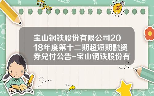 宝山钢铁股份有限公司2018年度第十二期超短期融资券兑付公告-宝山钢铁股份有限公司6月份