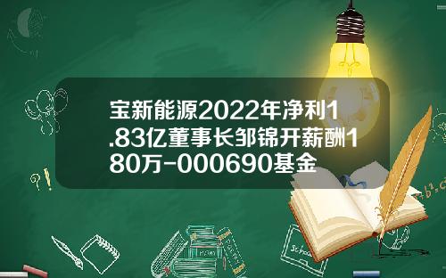 宝新能源2022年净利1.83亿董事长邹锦开薪酬180万-000690基金