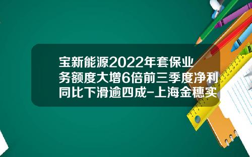 宝新能源2022年套保业务额度大增6倍前三季度净利同比下滑逾四成-上海金穗实业集团股份有限公司