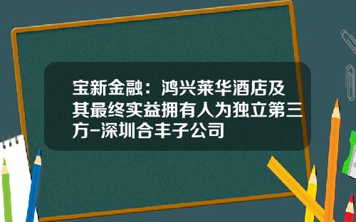 宝新金融：鸿兴莱华酒店及其最终实益拥有人为独立第三方-深圳合丰子公司