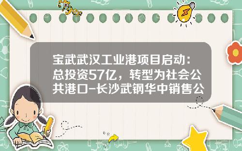 宝武武汉工业港项目启动：总投资57亿，转型为社会公共港口-长沙武钢华中销售公司武汉分公司