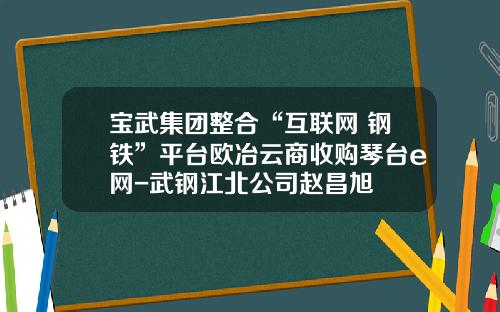 宝武集团整合“互联网+钢铁”平台欧冶云商收购琴台e网-武钢江北公司赵昌旭
