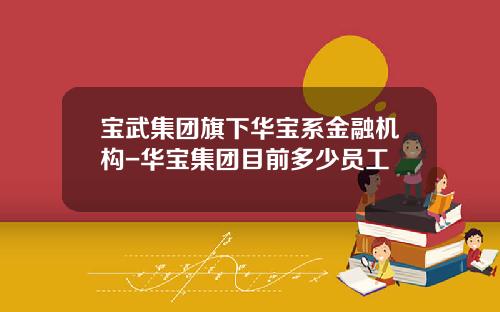 宝武集团旗下华宝系金融机构-华宝集团目前多少员工