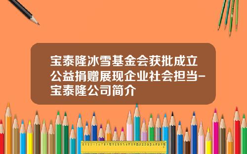 宝泰隆冰雪基金会获批成立公益捐赠展现企业社会担当-宝泰隆公司简介