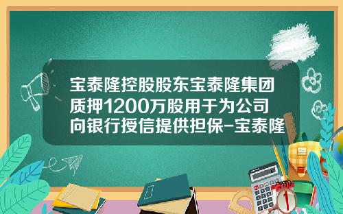 宝泰隆控股股东宝泰隆集团质押1200万股用于为公司向银行授信提供担保-宝泰隆公司简介