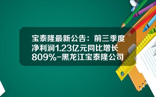 宝泰隆最新公告：前三季度净利润1.23亿元同比增长809%-黑龙江宝泰隆公司贴吧