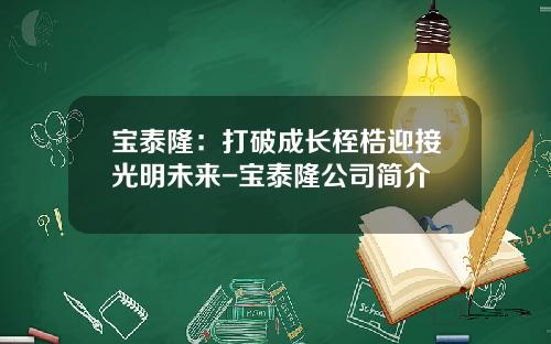 宝泰隆：打破成长桎梏迎接光明未来-宝泰隆公司简介