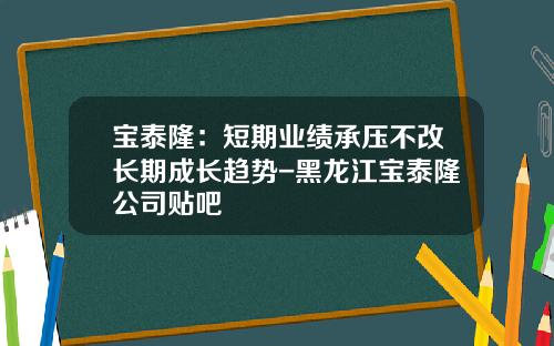 宝泰隆：短期业绩承压不改长期成长趋势-黑龙江宝泰隆公司贴吧
