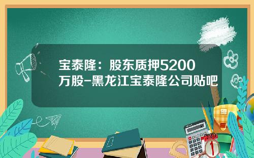 宝泰隆：股东质押5200万股-黑龙江宝泰隆公司贴吧