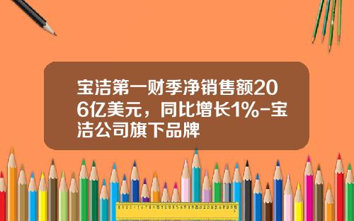 宝洁第一财季净销售额206亿美元，同比增长1%-宝洁公司旗下品牌