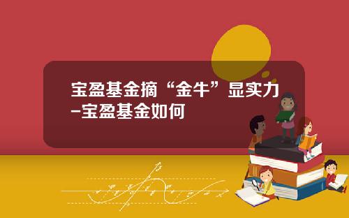 宝盈基金摘“金牛”显实力-宝盈基金如何
