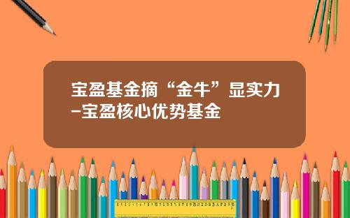 宝盈基金摘“金牛”显实力-宝盈核心优势基金