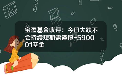 宝盈基金收评：今日大跌不会持续短期需谨慎-590001基金