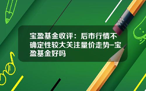 宝盈基金收评：后市行情不确定性较大关注量价走势-宝盈基金好吗